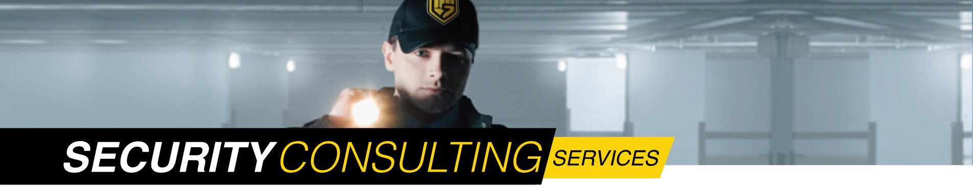 Houston area security consulting services