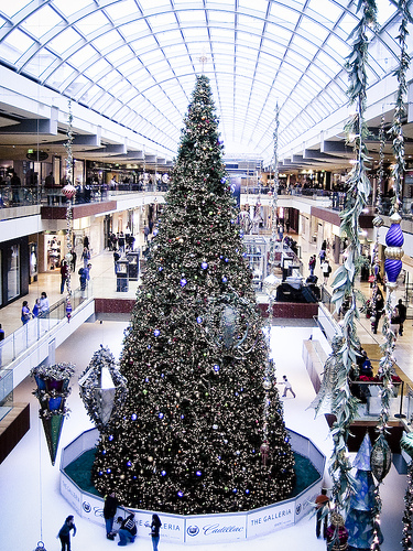 shopping-security-houston